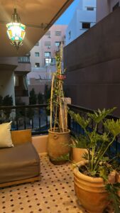 Mini Riad Extérieur 1