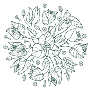 Nounja Collection Favicon